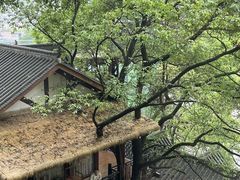 -巴倒烫陆派重庆火锅(南山店)