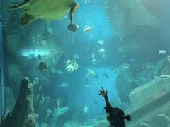 -福州罗源湾海洋世界旅游区