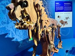 -国家自然博物馆