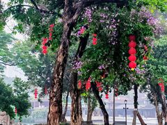 -荔湾湖公园