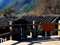 -九寨沟-树正沟