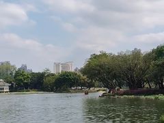 -荔湾湖公园