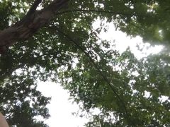 -天目湖松岭竹海漂流