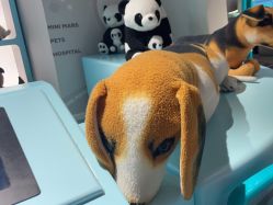 -MINI MARS KIDS CLUB亲子家庭中心(长宁天山店)