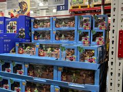 -山姆会员商店(亦庄创意生活广场店)