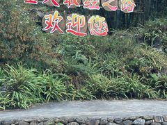 -英西峰林九重天景区
