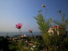 -船梆煮•蒸汽海鲜·生腌干蒸(五四广场店)