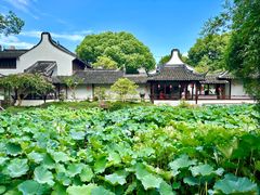 -上海醉白池公园