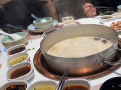 -洪氏嗨捞·猪肚鸡火锅(阳光天地店)