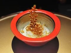 -地球美食剧场