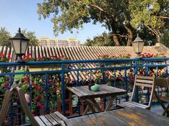 -Sirena海妖日咖夜酒