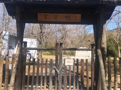 -红楼梦邮局