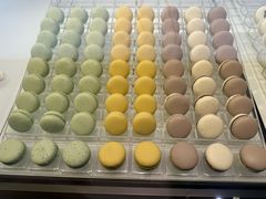 -BLACKSWAN黑天鹅(环球店)