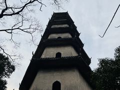-江心屿景区