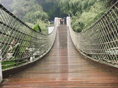 -铁山坪森林公园