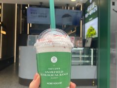 -茉酸奶(春熙路店)