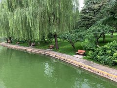 -团结湖公园