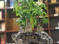 -雅和睿景·商务宴·风味土窑鸡(花博汇店)