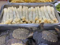-龙小海荆沙鸽子店(瑞安街店)