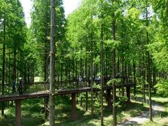 -黄海国家森林公园