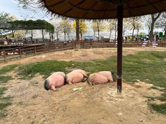 -盈香心动乐园