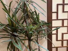 -梁溪河畔·吉府花园(南长街南下塘店)