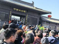 -赵州桥景区