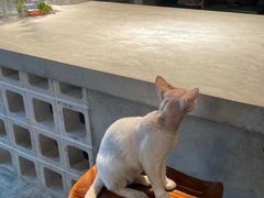 -自由生长植物工作室(深港花卉中心店)