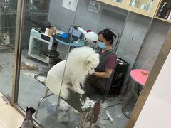 -宠福鑫康馨动物医院·骨科·眼科