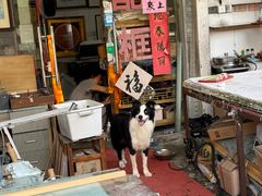 -平吉花卉市场
