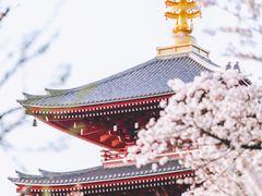 -浅草寺