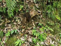 -西岭雪山大飞水景区