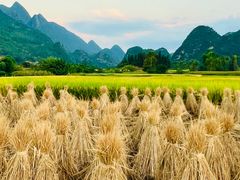 -万峰林风景区