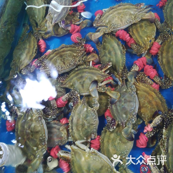 东豪海鲜市场学俭水产