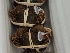 -阳澄湖大闸蟹·琼灵阁牌品牌连锁(吴中总店)