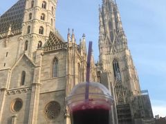 -斯蒂芬主教座堂(Stephansdom)