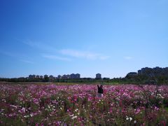 -兴安湖生态运动公园
