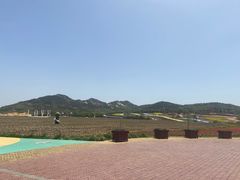 -西海岸生态观光园