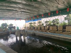 -光头佬钓虾场·烧烤·聚餐·亲子(金沙洲店)