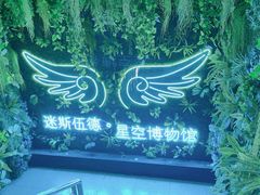 -迷斯伍德星空博物馆