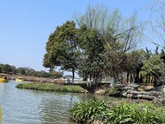 -八大山人梅湖景区