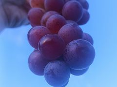 -大泽山风景名胜区