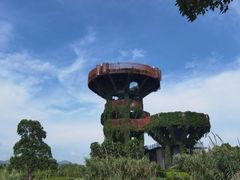 -芒洲湿地公园