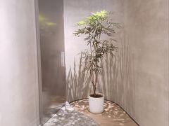 -二酉书店TOYOU BOOKS