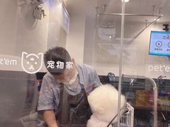 -宠物家(角门东店)