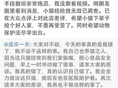 盛京一禾-盛京一禾