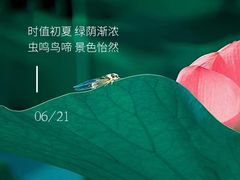 -自然之声助听器(平凉店)