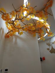 -芳朵美容养生SPA