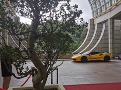 -新加坡丽思卡尔顿美年酒店