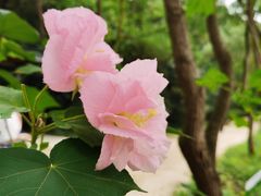 -西湖风景区-江洋畈生态公园